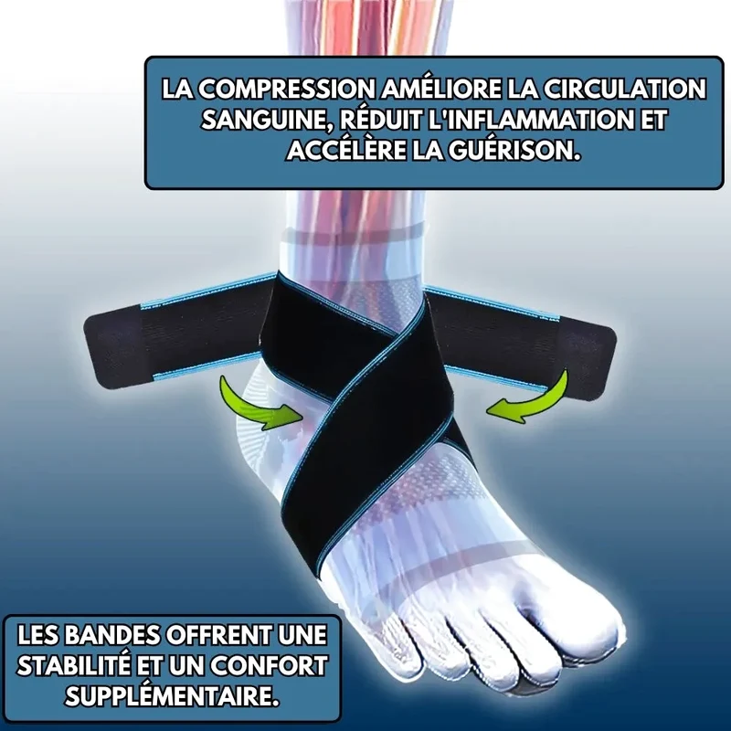 Chevillère de maintien | OrthoBand®