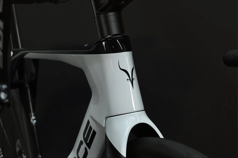 Vélo de route aérodynamique en carbone