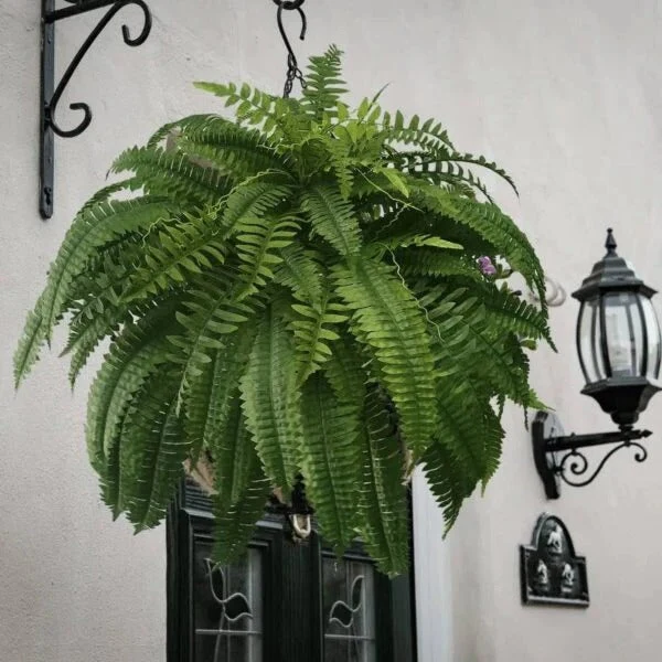 Kunstmatige Varen Hangplant UV-Bestendig PVC Groen Cascaderend voor Pot Mand Balkon Terras Binnen Buiten | Sansoti