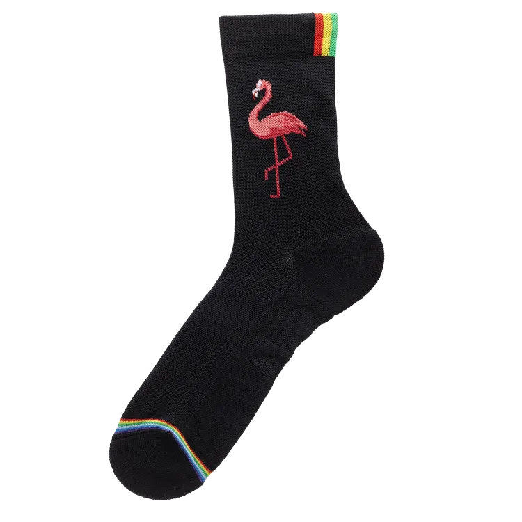 Rainbows - Paire de Chaussettes - Rosa the Flamingo