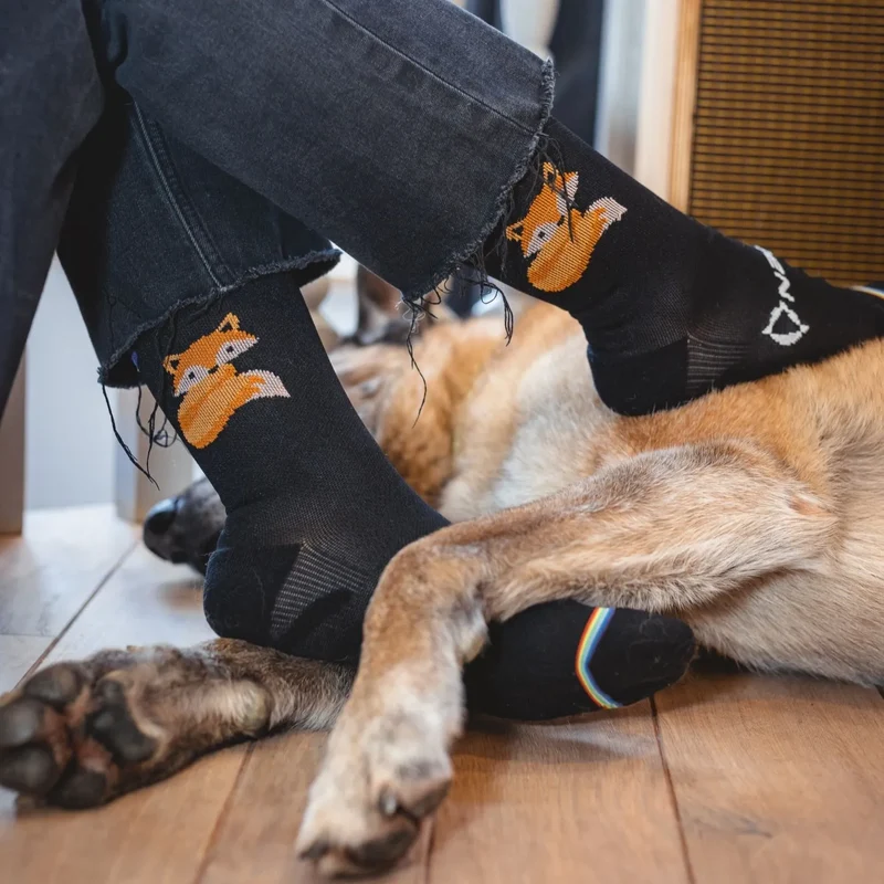 Rainbows - Paire de Chaussettes - Gunther the Fox