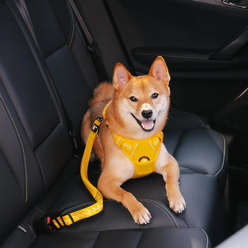 Autogordel Buffer Verstelbaar Hondenhalsband Tuigje Veiligheid Auto Reizen Reflecterend Huisdier Hond | Sansoti