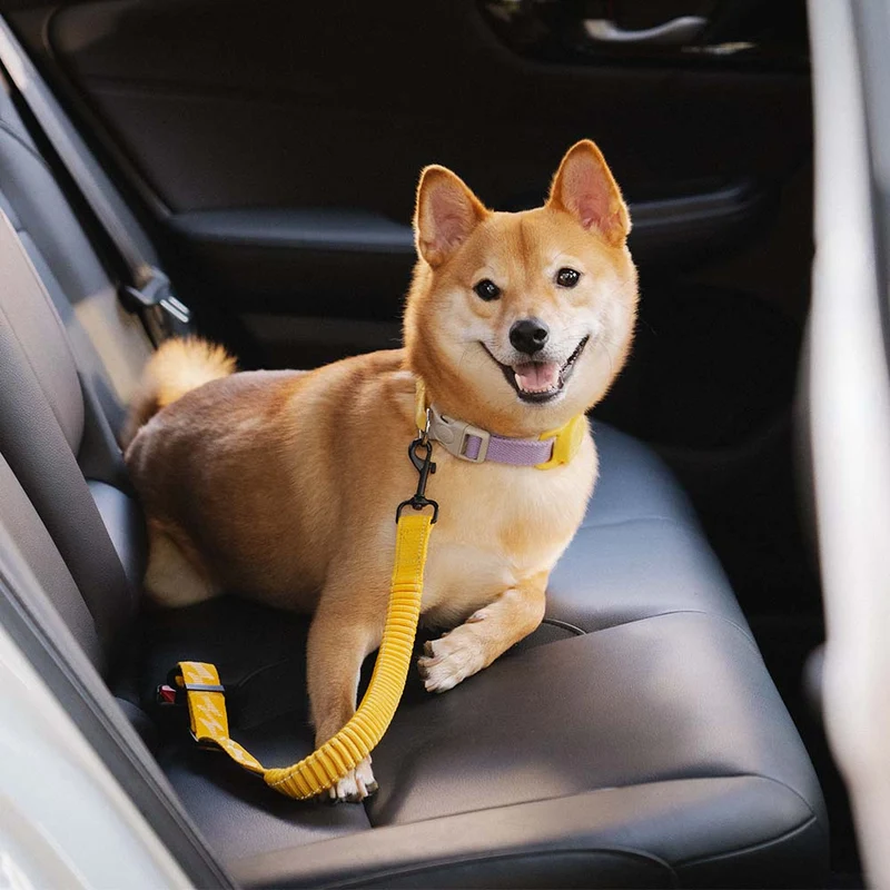 Autogordel Buffer Verstelbaar Hondenhalsband Tuigje Veiligheid Auto Reizen Reflecterend Huisdier Hond | Sansoti