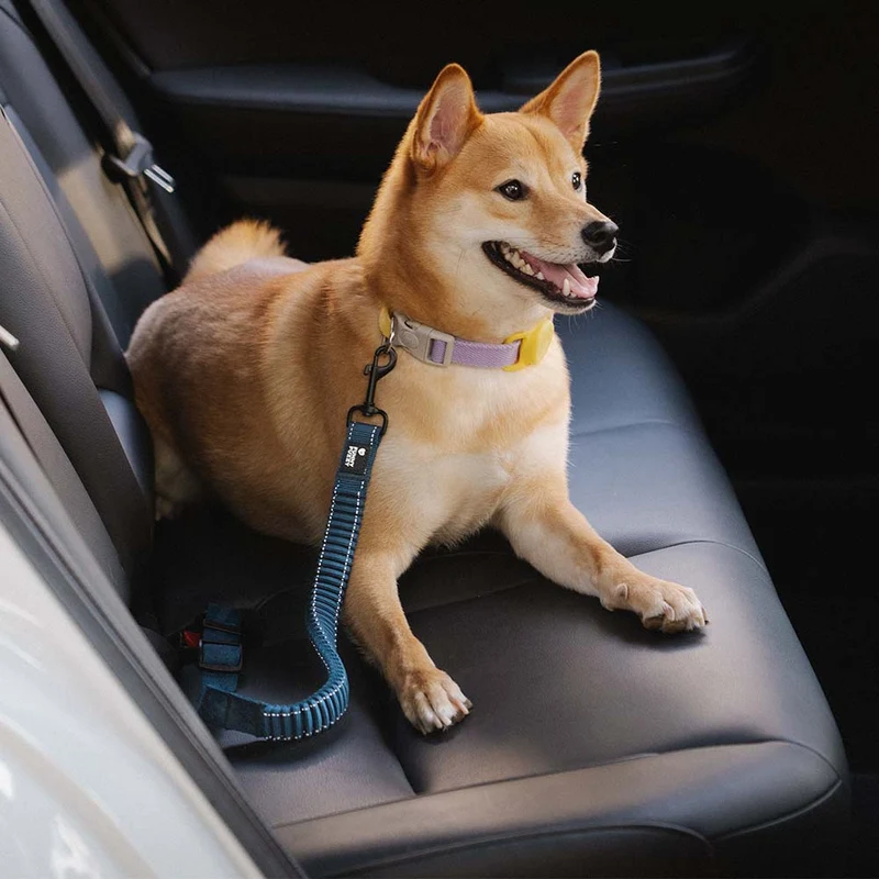 Autogordel Buffer Verstelbaar Hondenhalsband Tuigje Veiligheid Auto Reizen Reflecterend Huisdier Hond | Sansoti