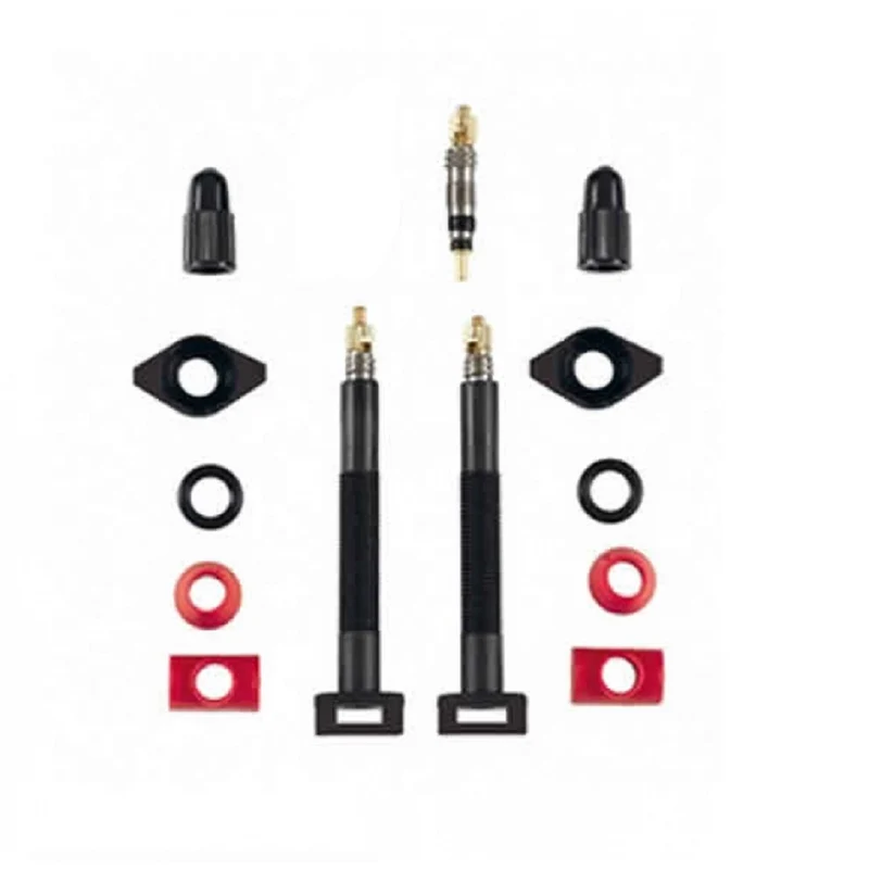 Paire de valves tubeless Presta en carbone Carbonaria Barbieri