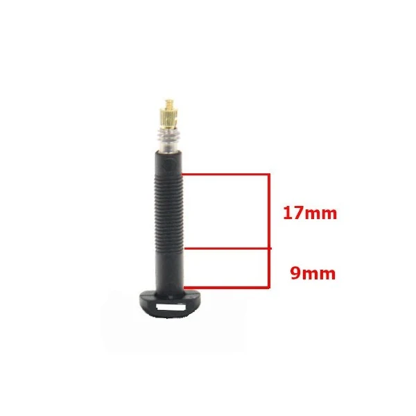 Paire de valves tubeless Presta en carbone Carbonaria Barbieri