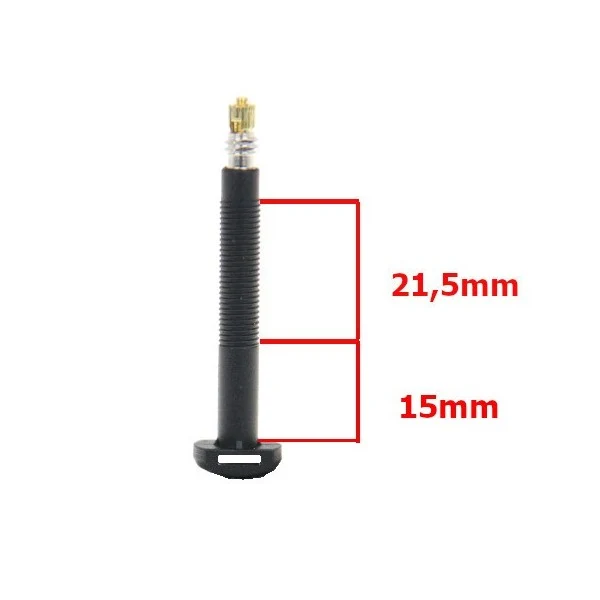 Paire de valves tubeless Presta en carbone Carbonaria Barbieri