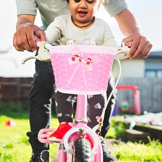 Vélo panier - FéePan™