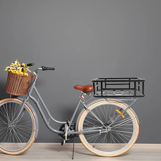Panier pour vélo arrière - FerraPan™