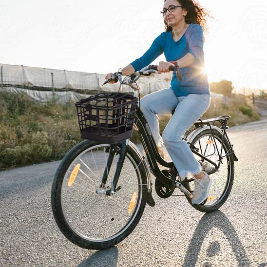 VELO Panier - VéloPan™