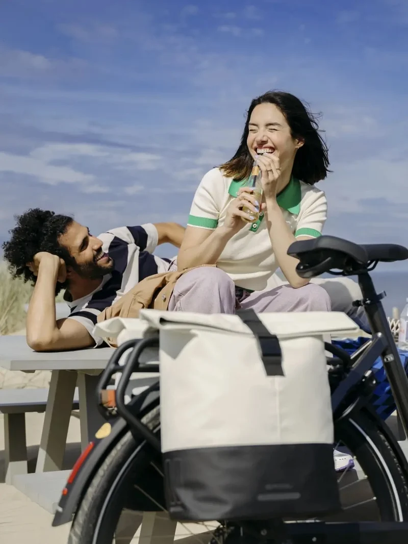 Sacoche double vélo Basil Cove Universal Bridge 32 L