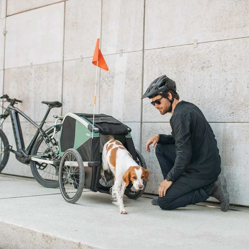 Remorque vélo pour chien Thule - Bexey