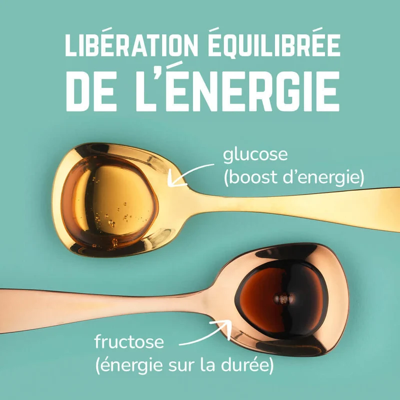 Pack Complet Vegan | Veloforte