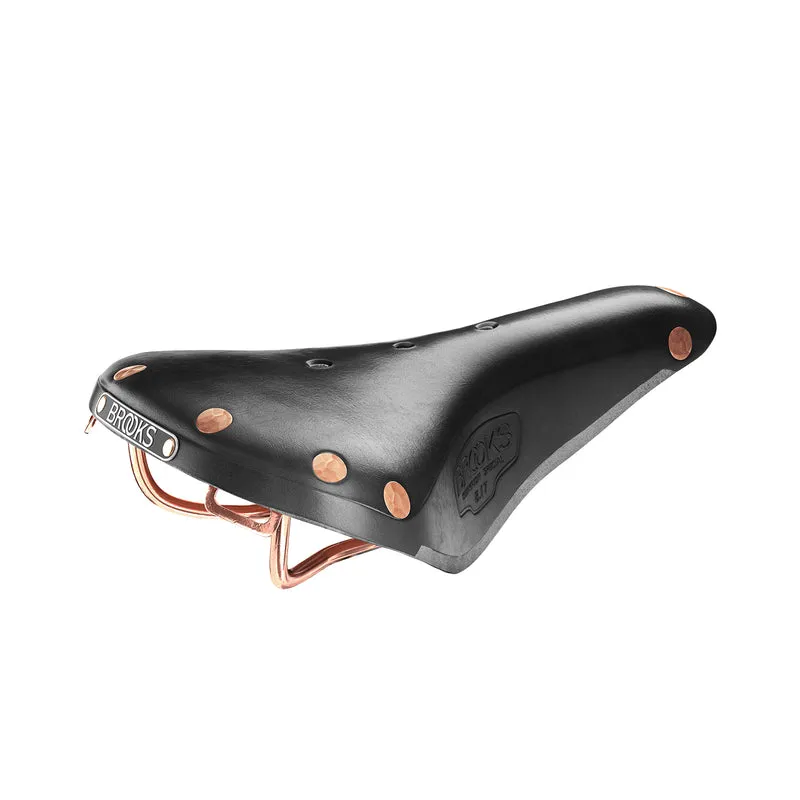Selle Brooks B17 Special