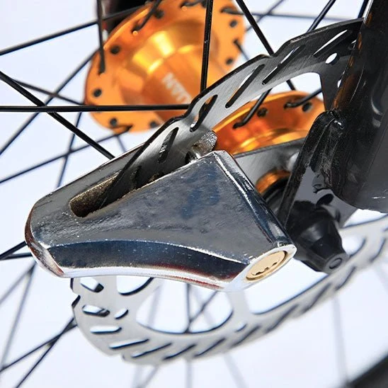 Antivol Vélo - en Alliage d'Acier