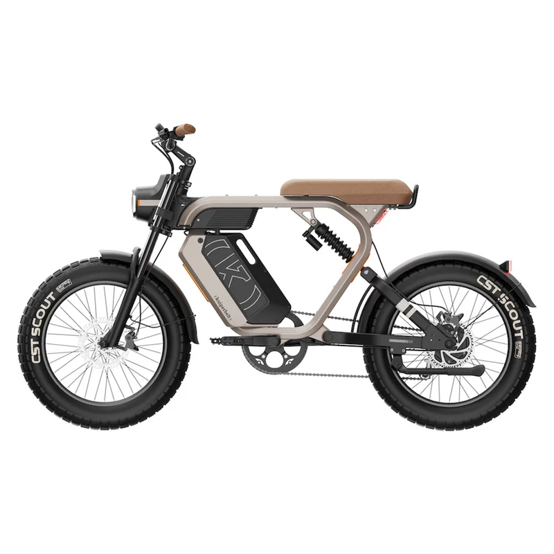 Vélo électrique Kuiperbelt - S1