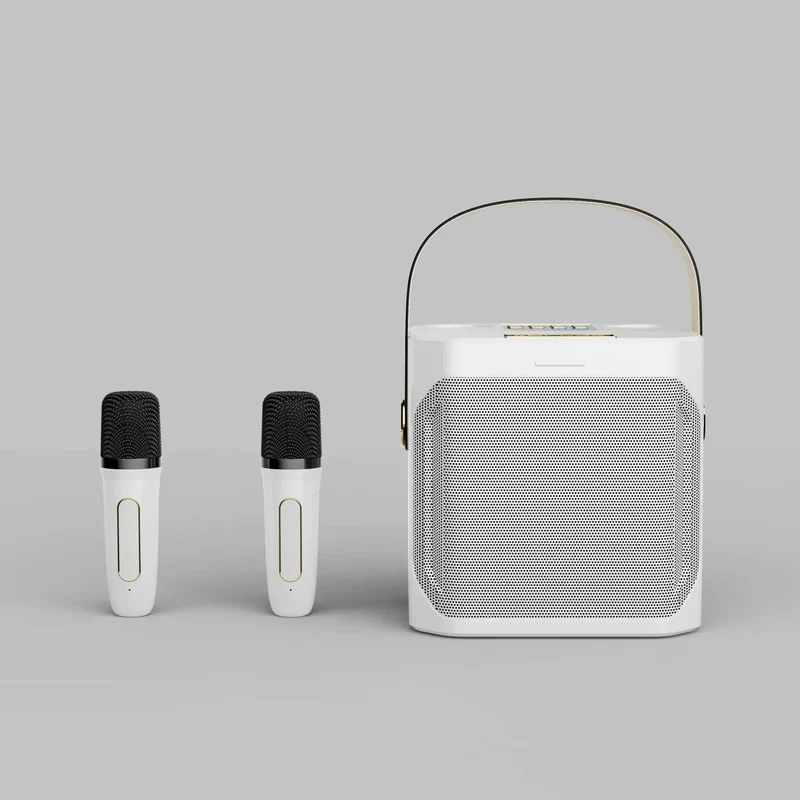 Karaoke Bluetooth Luidspreker Met 2 Microfoons 360° Stereo Surround | Sansoti