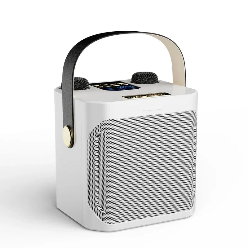 Karaoke Bluetooth Luidspreker Met 2 Microfoons 360° Stereo Surround | Sansoti